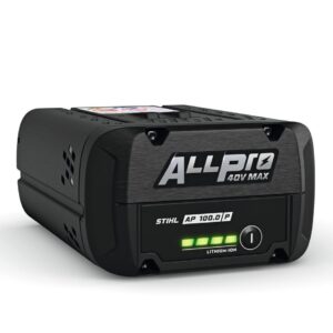 AP 100 P